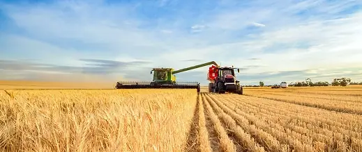 agriculture